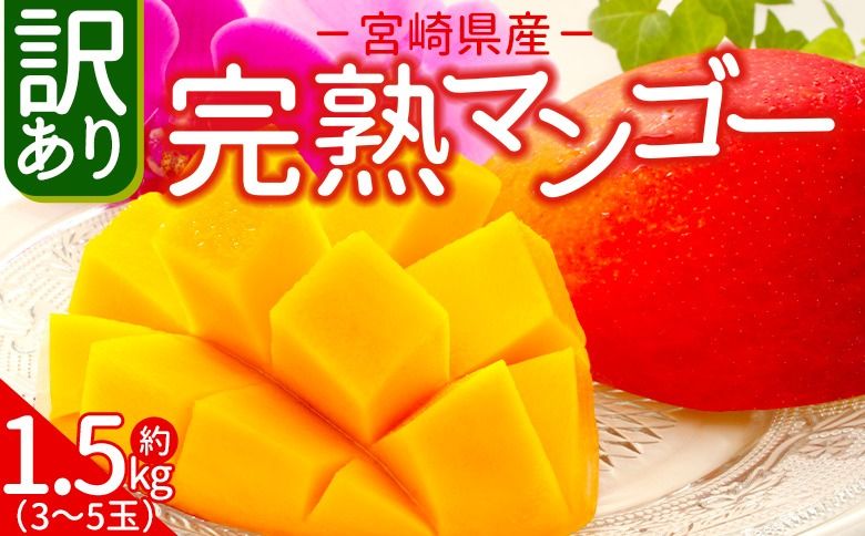[訳あり 宮崎県産 完熟マンゴー 合計約1.5kg(3〜5玉)]入金確認後、2026年5月上旬から7月末迄に順次出荷[訳アリ ご家庭用 ご自宅 ご褒美 トロピカル 国産 果物 果実 フルーツ 南国 甘い 旬 濃厚(株)ワールドワイドトレード 宮崎県 国富町][ b0983_ww]