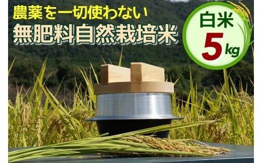 米 令和6年産 自然栽培米 にこまる ＜農薬を一切使わない無肥料栽培＞ 白米 5kg（精米したて） 《新米 京都丹波産 無農薬米栽培向き 厳選品種》