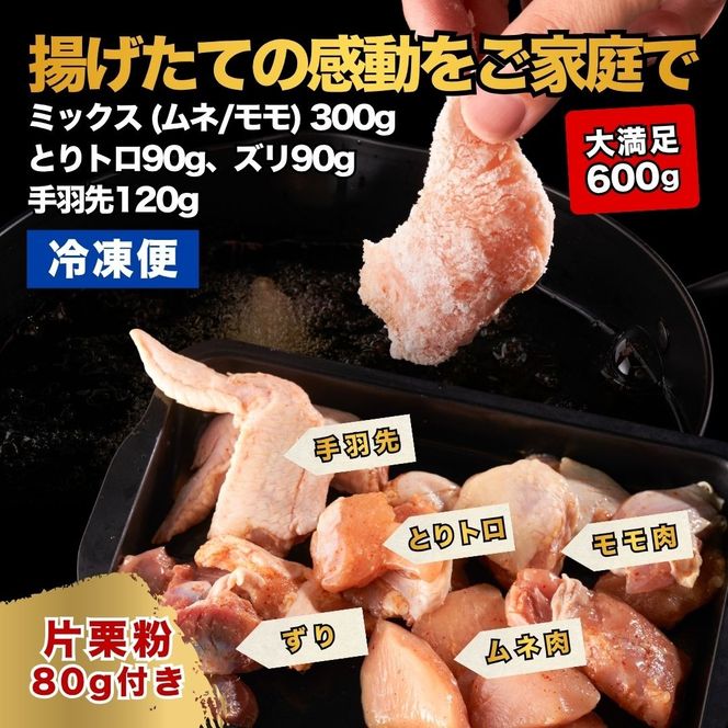 唐揚げ 大分からあげ 600g （モモ、とりトロ、ムネ、ずり、手羽先）唐揚げ うまタレ付き  【からあげ壱気】0B1-119 