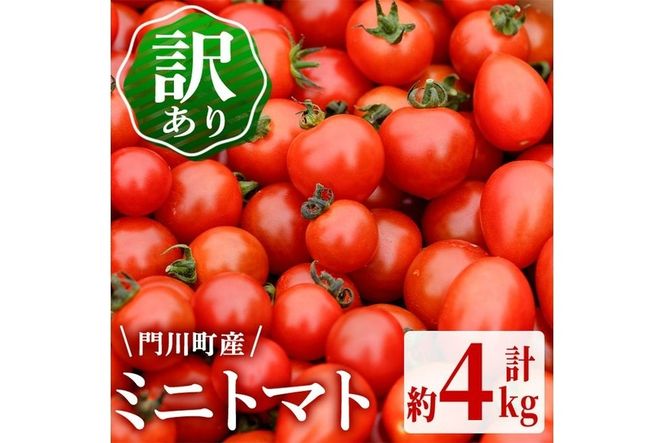 訳あり・規格外！数量限定の門川町産ミニトマト(計約4kg)フルーツトマト とまと 野菜 キャロルパッション 小鈴 プレミアムルビー アイコ ミックス 生 旬野菜 冷蔵【X-11】【いけとも農園】