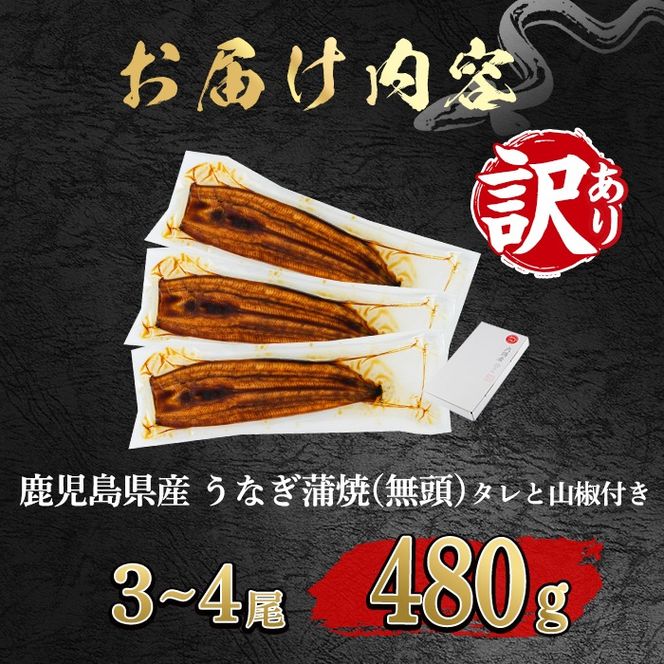 【0154316a】【緊急支援品】＜訳あり＞鰻の蒲焼き(無頭)(3～4尾・計約480g・タレ、山椒付) うなぎ ウナギ 鰻 国産 蒲焼 蒲焼き たれ 鹿児島 ふるさと 人気 支援【アクアおおすみ】