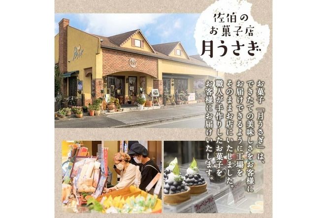月うさぎの佐伯マリンレモン (計25個) レモン レモンケーキ スイーツ スウィーツ 菓子 焼き菓子 洋菓子 おやつ セット 個装 大分県 佐伯市【ER005】【(株)古川製菓】