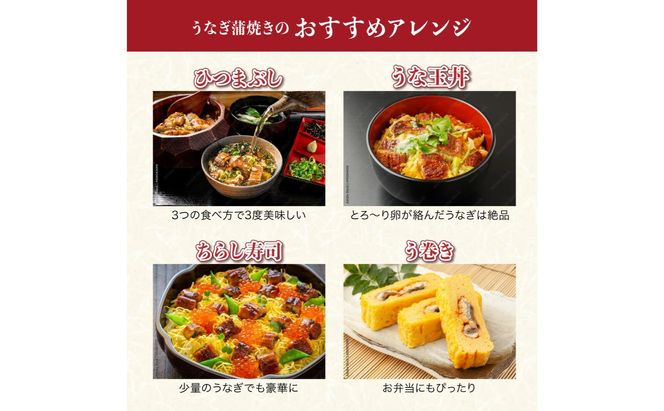 《特大》うなぎ 蒲焼焼き 2尾　500g（250gX2尾）　中国産　B-1035