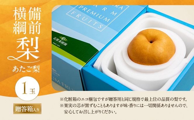 梨 2026年 備前横綱梨（あたご梨） 1玉 (1～1.4kg) 贈答箱 【11月下旬～12月中旬頃発送】 ナシ なし 岡山県産 国産 フルーツ 果物 ギフト 石原果樹園 繊細な味 ジャンボ梨 