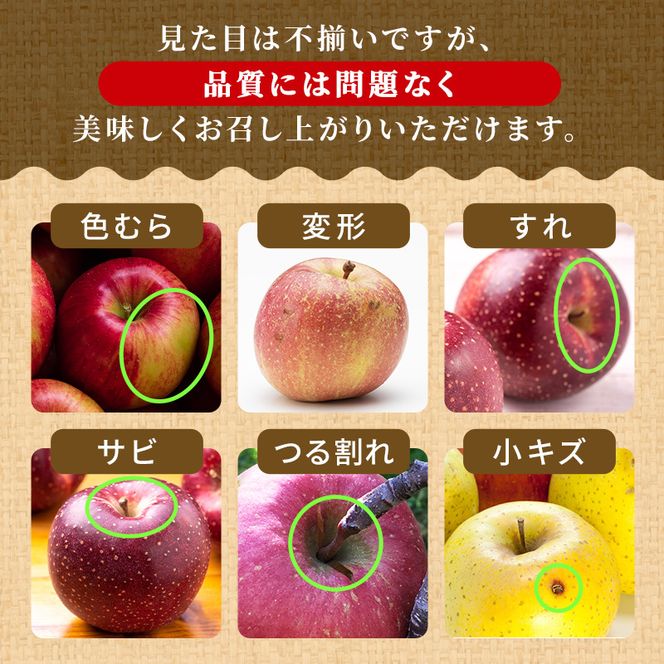 りんご【11月～2月発送】糖度13度以上 訳あり品 家庭用 シナノスイート 約3kg【青森りんご】