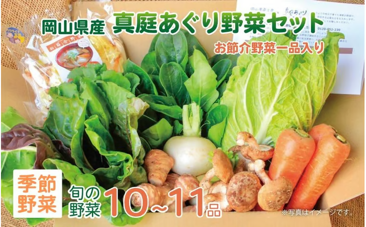 岡山の旬をお届け! 真庭あぐり野菜セット 10〜11品 便利なカット野菜入り / 産地直送 農家 お試し 岡山県 新鮮 あぐりガーデン 国産 [配送不可地域:北海道/沖縄県/離島] [jujy047-01]