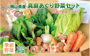 岡山の旬をお届け！ 真庭あぐり野菜セット 10～11品 便利なカット野菜入り / 産地直送 農家 お試し 岡山県 新鮮 あぐりガーデン 国産 【配送不可地域：北海道／沖縄県／離島】 【jujy047-01】