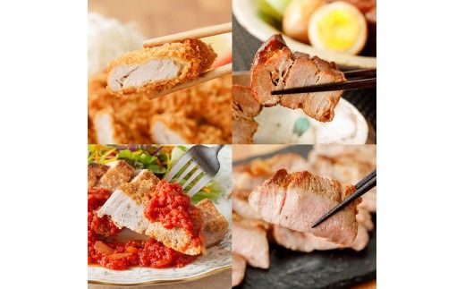 宮崎県産豚肉部位別食べ比べ定期便「5ヶ月コース」 【 宮崎県産 川南町産 肉 豚肉 定期便 ブロック 小間切れ バラ ロース ヒレ 肩ロース 送料無料 】 [B05011t5]