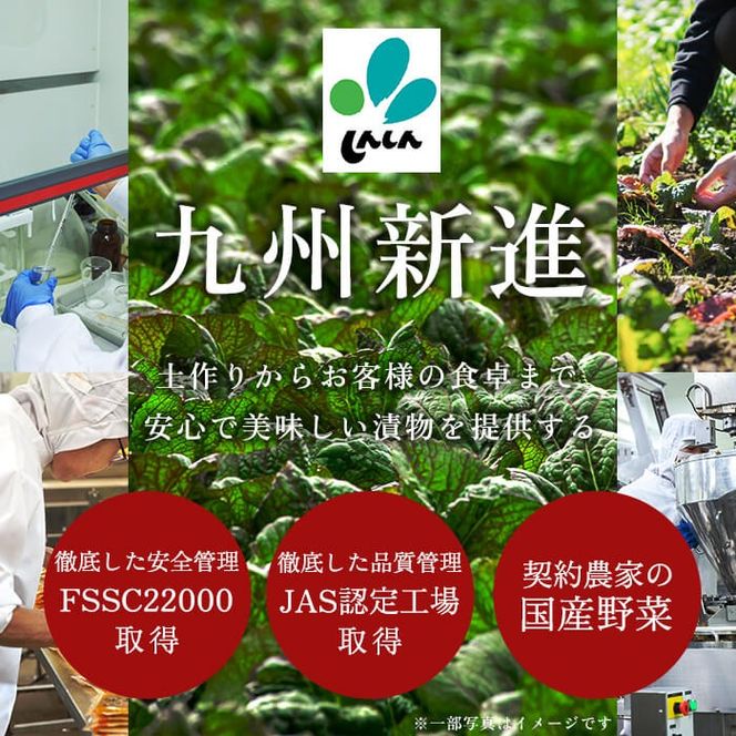 a568 《選べる内容量・配送》九州産辛子高菜(1kg・4kg・3回定期便)【九州新進】姶良市 国産 九州産 たかな 漬物 漬け物 ご飯のお供 おかず おつまみ おにぎり 常温 常温保存 定期便