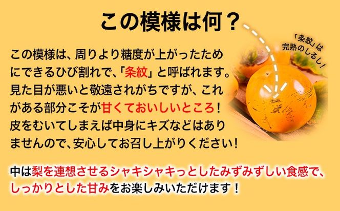 熊本県大津町産 タカハマ観光農園の太秋柿 約2.5kg《10月上旬-11月下旬頃出荷》---oz_thm_3_2500g---