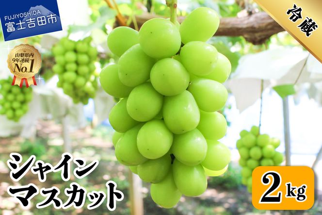 2026年発送【フルーツ王国】 山梨県産 シャインマスカット 約2.0kg(3~4房)  高級 フルーツ 果物 ぶどう シャイン 2026年発送 山梨 富士吉田