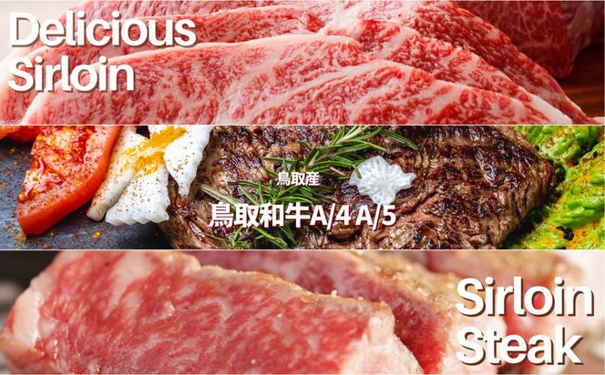 鳥取和牛 サーロインブロック 3kg 312011_FT009