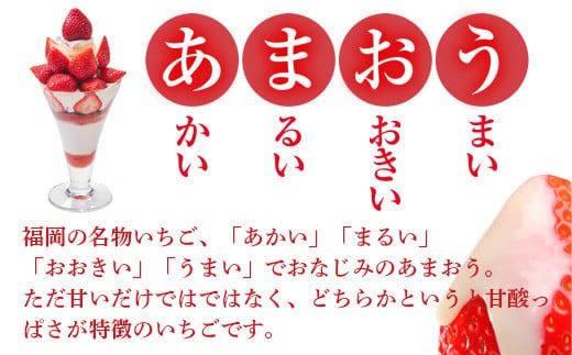 福岡産あまおう２パック＆練乳 先行予約※2024年11月下旬～2025年4月上旬にかけて順次発送予定　AX017