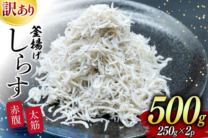 y{茧sz炷 󂠂 Do g炷 250g 2p v 500g [Do߂񑺏㉮ {茧 s 452061050]  VX g Ⓚ Ⴑ WR A ԕ 