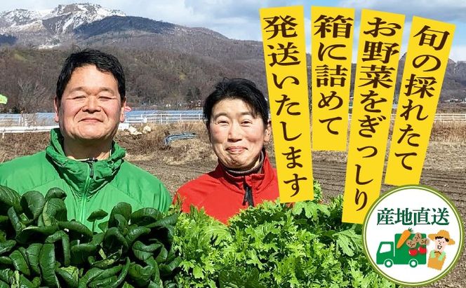 【 2026年発送 】 先行予約 新鮮採れたて！旬の伊達野菜セット（6～8種）【オンライン決済限定】55250703