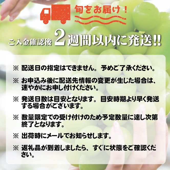 【数量限定】瀬戸ジャイアンツと梨のセット（ぶどう ブドウ 梨 果物 セット 詰め合わせ フルーツ 贈答用 限定）