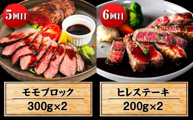 【全6回定期便】 博多和牛が 毎月2人前 届く！ 月替わり お楽しみ 定期便 （ハンバーグ / 肩ロース スライス / サーロイン ステーキ / カルビ / モモブロック / ヒレ ステーキ）  糸島市 / 幸栄物産 牛肉 セット 焼肉 すき焼き[ABH049]