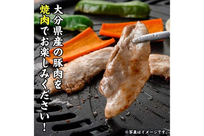 大分県産 豚バラ スライス (計1kg・500g×2P) 小分け 豚肉 豚バラ スライス 焼肉 おかず 豚丼 惣菜 大分県 佐伯市【BD199】【西日本畜産 (株)】