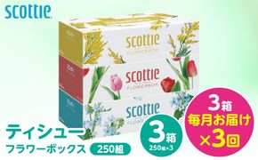 【定期便3回】【毎月お届け】【スコッティ】 ティシュー フラワーボックス 250組 3箱 計9箱 ティッシュ 日用品 生活必需品 消耗品 紙 備蓄 防災備蓄 ストック デザインボックス 新生活 防災 生活用品 日用消耗品 箱ティッシュ 熊本県 八代市