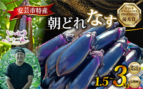 朝採れナス 選べる 約1.5kg ~ 3kg 単品 定期便 茄子 ナス 国産 高知 農家直送 野菜 ベジタブル 新鮮 なす 薄皮 焼きナス 美容 健康 朝どれ 焼き肉 アウトドア BBQ 和食 洋食 中華 おかず なすび せんとうふぁーむ 18本程度 42本程度 常温 栽培 農業 地産地消 旬 夏野菜 ヘルシー ビタミン ミネラル 食物繊維 ポリフェノール 料理 家庭菜園 レシピ 安芸市 高知県