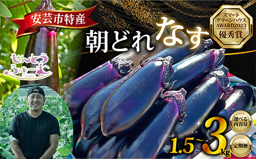 朝採れナス 選べる 約1.5kg ~ 3kg 単品 定期便 茄子 ナス 国産 高知 農家直送 野菜 ベジタブル 新鮮 なす 薄皮 焼きナス 美容 健康 朝どれ 焼き肉 アウトドア BBQ 和食 洋食 中華 おかず なすび せんとうふぁーむ 18本程度 42本程度 常温 栽培 農業 地産地消 旬 夏野菜 ヘルシー ビタミン ミネラル 食物繊維 ポリフェノール 料理 家庭菜園 レシピ 安芸市 高知県