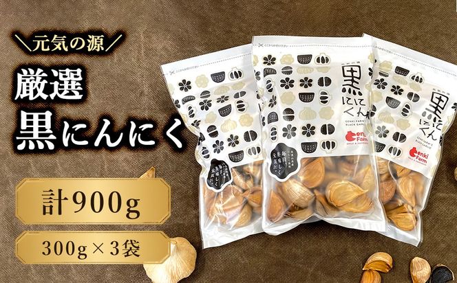 元気の源　黒にんにく　900g [No.502]