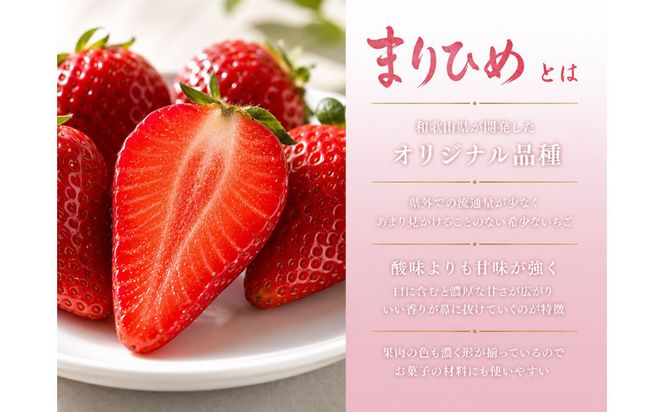 紀州和歌山ブランドいちご「まりひめ」約250g×4P ［2027年3月上旬頃～3月下旬頃に順次発送］［UT39］ 303446_XF91042