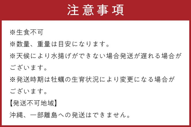 京都・京丹後産牡蠣5kg（約50個）　AH00009