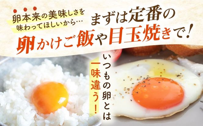 【全3回定期便】【30個×3ヶ月】黄身にコク！白身に甘み！てつやとのりこの玉子 板垣ファーム [AWD006]