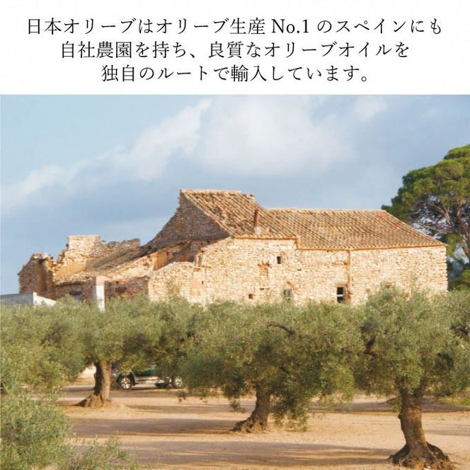 【予約受付】2026年9月〜発送予定　定期便 6ヶ月 エキストラバージン オリーブオイル 大容量 5L ふるさと納税限定品