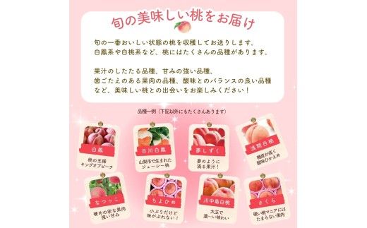 【2027年出荷分 先行予約】朝もぎ直送!『山梨県産　桃』約13～18玉 約5kg規格箱入り 選び抜かれた山梨の桃《もも 先行予約》山梨県産　モモ/ フルーツ 果物 くだもの 人気 産地直送/厳選  贈答 贈り物【tab0221-05】