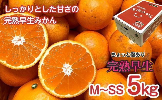 定期便 ちょっと 傷あり 5kg ×3 回 コース 有田みかん 食べくらべ 3種 全3回 南泰園 みかん BS815