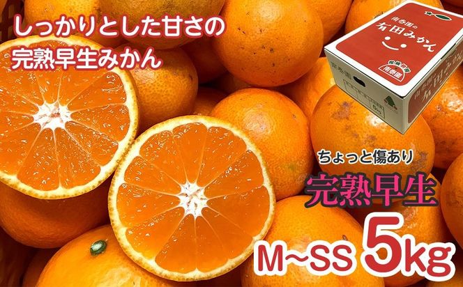 定期便 ちょっと 傷あり 5kg ×3 回 コース 有田みかん 食べくらべ 3種 全3回 南泰園 BS815