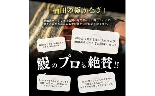 【訳あり】鹿児島県大隅産！楠田の極うなぎ白焼き 10尾(計2.4kg以上・1尾あたり240g～269g)  j0-005