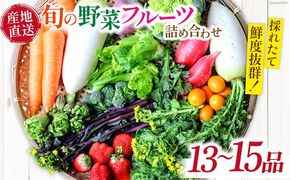 新鮮 「旬の野菜・フルーツ」 詰め合わせ セット（13品〜15品）/ 野菜 定期便 やさい 定期便 野菜セット やさいセット 春野菜 夏野菜 秋野菜 冬野菜 旬新鮮 / 南島原市 /長崎県農産品流通合同会社[SCB090]