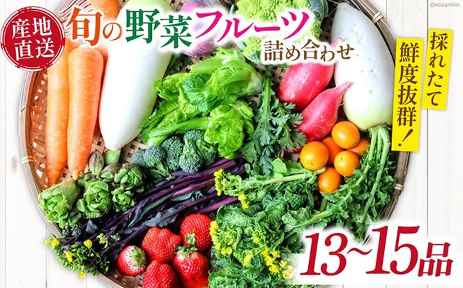新鮮 「旬の野菜・フルーツ」 詰め合わせ セット（13品〜15品）/ 野菜 定期便 やさい 定期便 野菜セット やさいセット 春野菜 夏野菜 秋野菜 冬野菜 旬新鮮 / 南島原市 /長崎県農産品流通合同会社[SCB090]