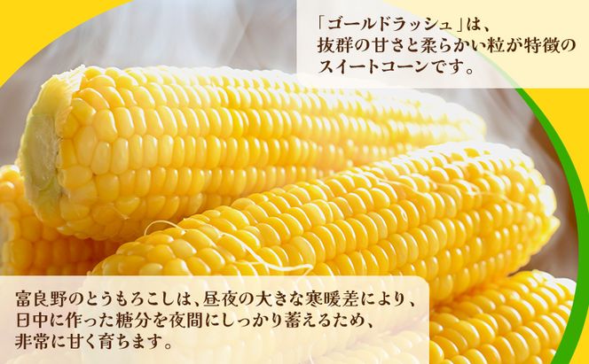 【2026年発送】富良野産 とうもろこし ゴールドラッシュ 約10本 コーン とうきび トウモロコシ 2Lサイズ 野菜 甘い BBQ 北海道 富良野 ふらの