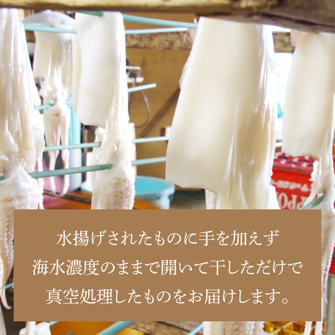 真いか一夜干　(大判１枚)|イカ 真イカ 海鮮 魚介 海の幸 真空 茨城県 北茨城市（BH007）