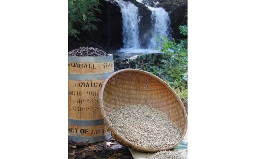 yRxmgcszy󂠂zیx uhR[q[ xmR̗NŖ XyVeBR[q[ (800g/800g/hbv48) R[q[  uh R[q[ XyVeBR[q[ ҂ R xmgc