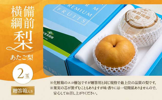 梨 2026年 備前横綱梨（あたご梨） 2玉 (1玉1～1.4kg）贈答箱【11月下旬～12月中旬頃発送】 ナシ なし 岡山県産 国産 フルーツ 果物 ギフト 石原果樹園 繊細な味 ジャンボ梨 