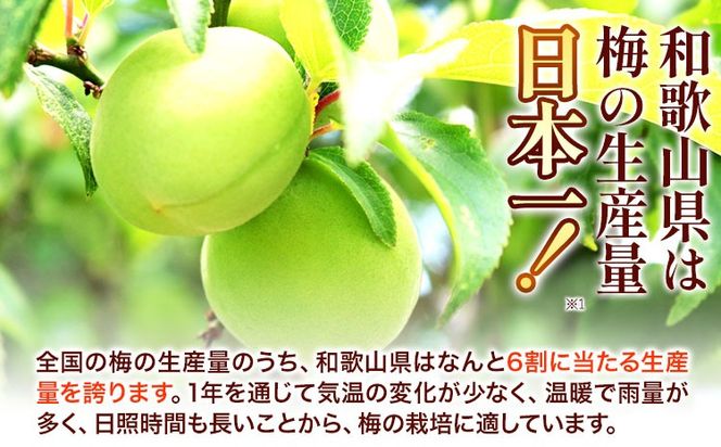 高級南高梅食べ比べ4種 計1kg 紀州塗箱 網代模様仕上げ 澤株式会社《90日以内に出荷予定(土日祝除く)》和歌山県 日高町 梅干し 梅 うめ ウメ 南高梅 うす塩梅 はちみつ梅 しそ漬け梅 白干梅 紀州南高梅 紀州塗 送料無料---wsh_swknu4syu_90d_22_24000_1kg---