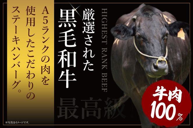 黒毛和牛　A5ランク　ステーキハンバーグ 極 120ｇ×5食入【埼玉県　春日部　国産　惣菜 冷凍　湯煎　レンジ調理　レンチン】（DH001）