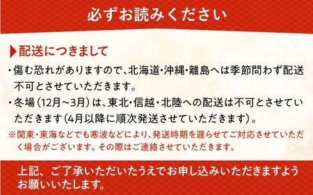 【全6回定期便】胡蝶蘭 お楽しみ定期便 ( お祝い / 開店祝い / 就任祝い ) 糸島 / はざま園芸 [AND003] 胡蝶蘭 お祝い ギフト 贈答 洋蘭 開店祝い 新店 祝い 白 3本