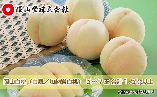 桃 2026年 先行予約 岡山 白桃（品種：白鳳／加納岩白桃）5～7玉 合計1.5kg以上 もも モモ 岡山県産 国産 フルーツ 果物 ギフト 環山堂 果皮が薄い 上品 甘み 贈り物 果実 柔らかい 多汁 