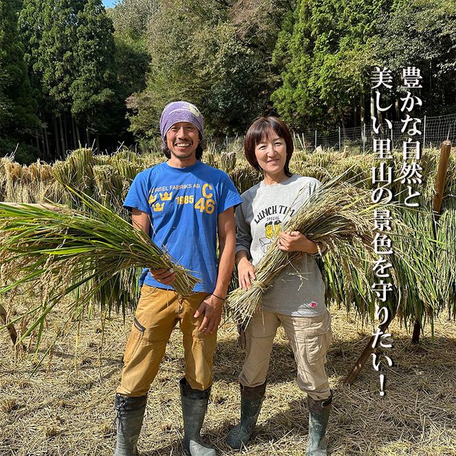 キヌヒカリ 5kg 新米 京都 丹波 お米 米 精米 きぬひかり 産地直送 令和8年 5キロ 新米26