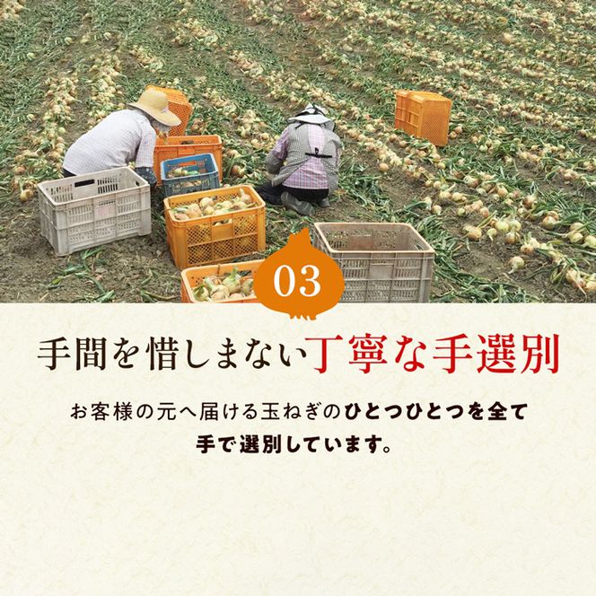 【新玉ねぎ】今井ファームの淡路島たまねぎ「かくし玉」 2kg【発送時期2026年4月下旬～5月頃】