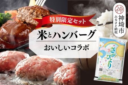 [2回定期便]特別限定セット さがびよりと佐賀牛ハンバーグ おいしいコラボ[米 ブランド米 肉 牛肉 ブランド牛 ハンバーグ お手軽](H996P107)