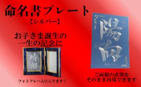 【誕生祝い】お子さまの命名書プレート（１枚）