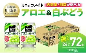 ※内容量と回数が選べる※ミニッツメイド「アロエ&白ぶどう」280g缶 【 飲料 アロエ 白ぶどう 果汁 長期保存 定期便 】 [C11131 C11132 C11133 C11131t3 C11132t3 C11133t3]