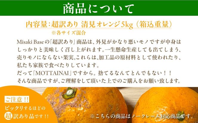 【先行受付】【※超訳あり】清見オレンジ 5kg ※離島への配送不可 （2026年3月中旬より順次発送） IKTAB009 
